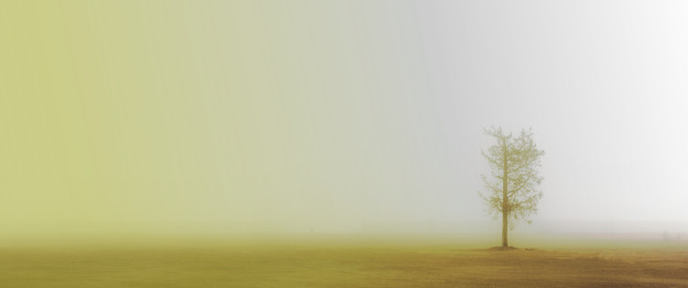 FMCS 1 Jornada Hestia Capçalera GF