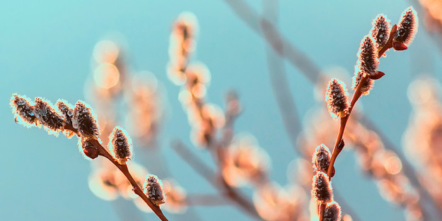 FMCSI HESTIA 3a Convo Becas Web Agenda 900×450